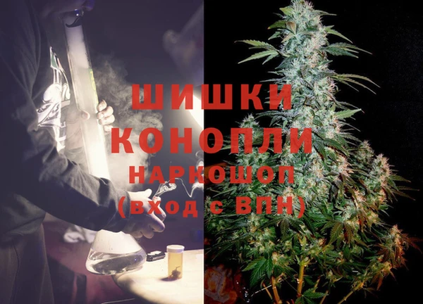 mdpv Каменногорск