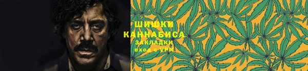 стафф Каменка