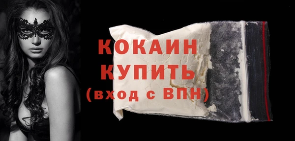 стафф Каменка