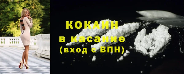 стафф Каменка