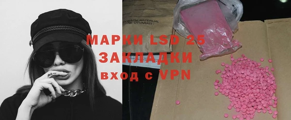 mdpv Каменногорск