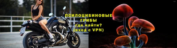 mdpv Каменногорск
