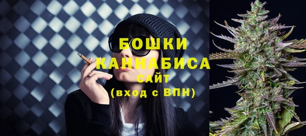 стафф Каменка