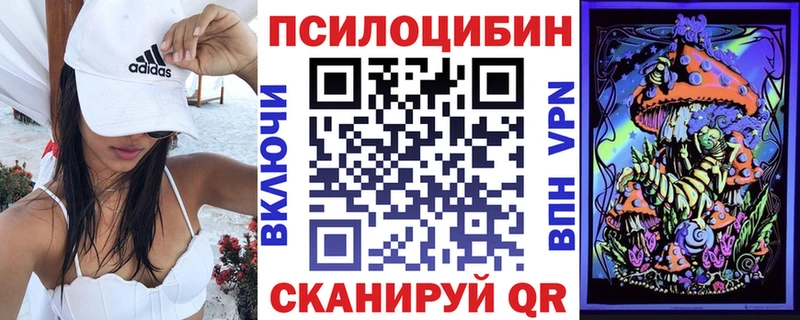 Купить где  Дальнегорск  Псилоцибиновые грибы Cubensis 